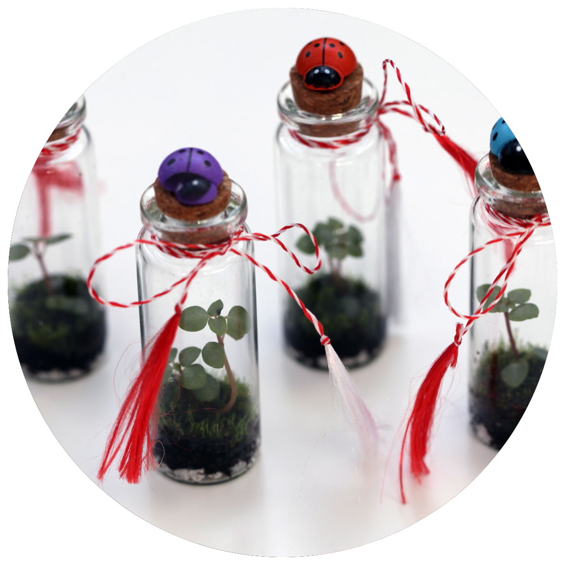 Image is not available