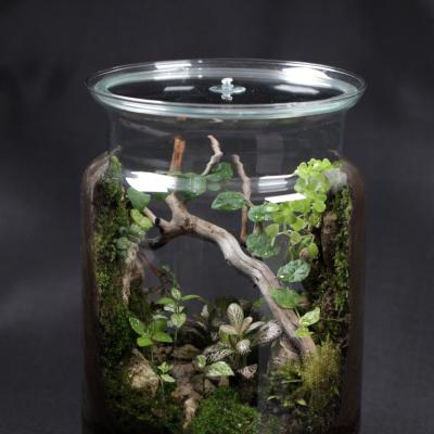 Vaza 'Canion' - D18x25