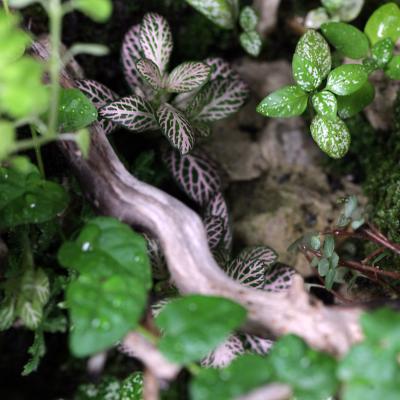 Vaza 'Canion' - D18x25