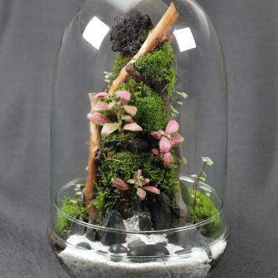 Hawaiian Vulcano Beach - D18.5x30