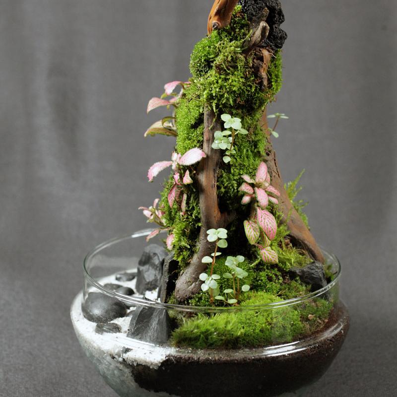 Hawaiian Vulcano Beach - D18.5x30