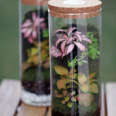 Borcan 1.4l - D10.5 x H23