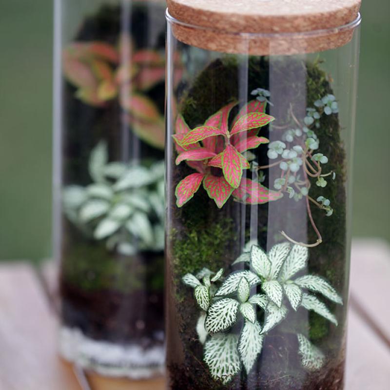 Borcan 1.4l - D10.5 x H23