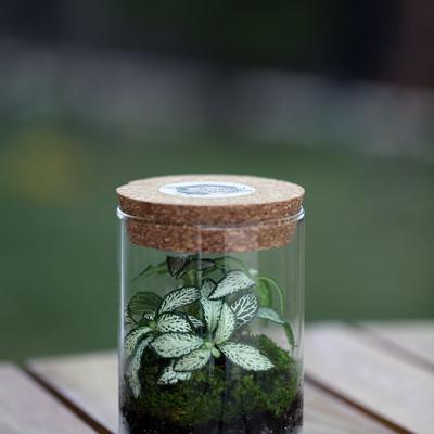 Borcan 400ml - D7.5 x H12