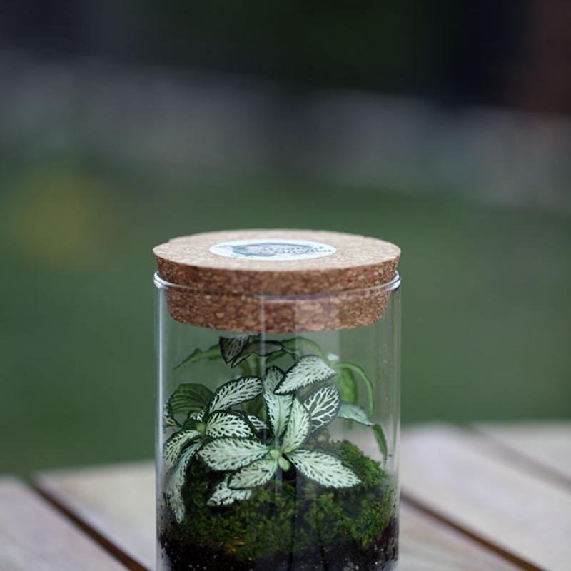 Borcan 400ml - D7.5 x H12