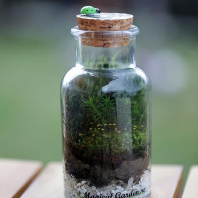 Borcan 250ml - D7 x H13.5