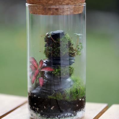 Borcan 550ml - D7.5 x H16.5