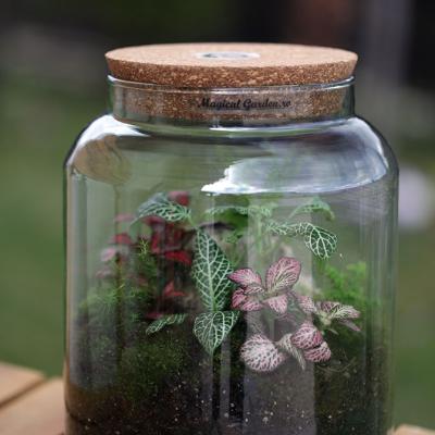 Borcan 5l - D19.3 x H25.1