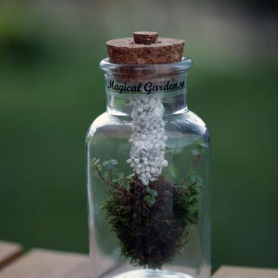 Borcan 250ml - D7 x H13.5