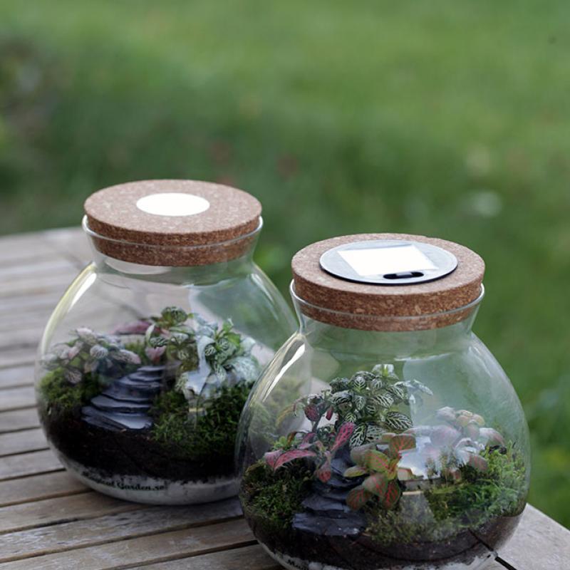 Borcan Glass Ball Poteca - 1.7l