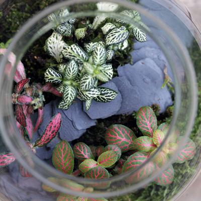 Borcan Glass Ball Poteca - 1.7l