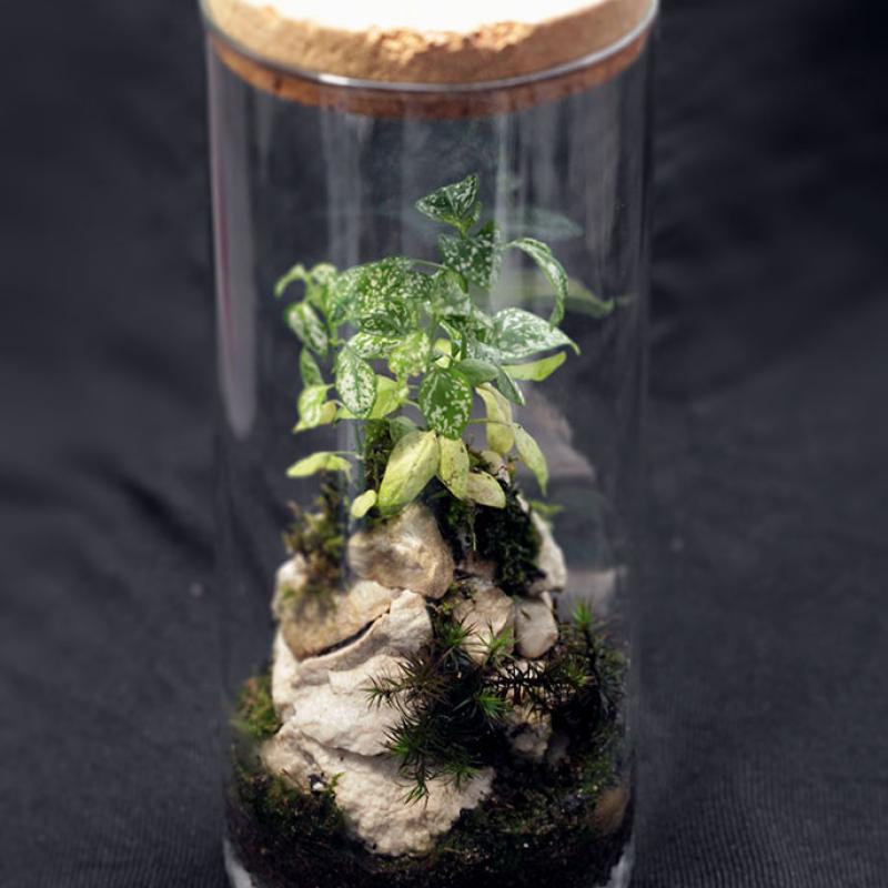 Borcan 1.4l - D10.5 x H23