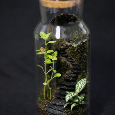 Borcan 370ml - D6 x H16