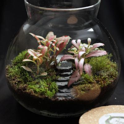 Borcan Glass Ball Poteca - 1.1l