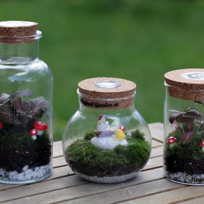 Ciupercute si Gaina cu pui