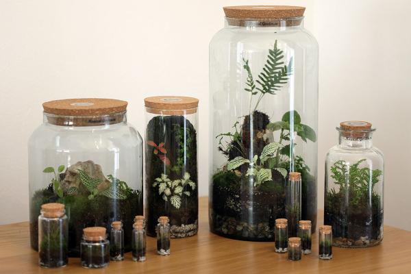 Design & Landscaping