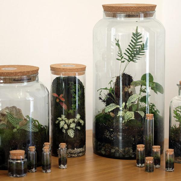 Design & Landscaping