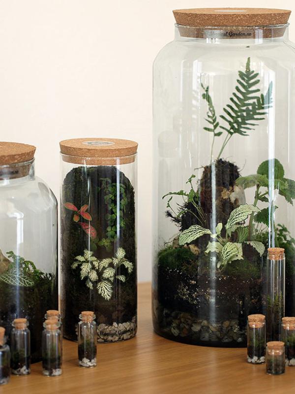 Design & Landscaping