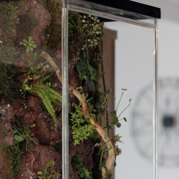 Terariu Geometric Cascada