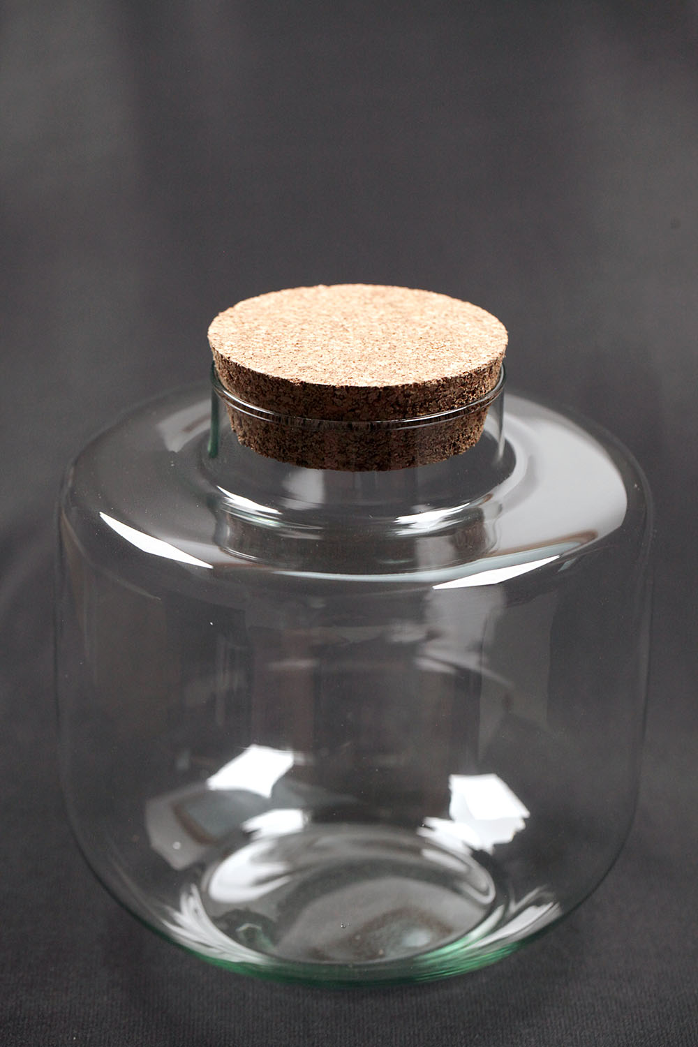 Borcan Butoias si Pluta .3