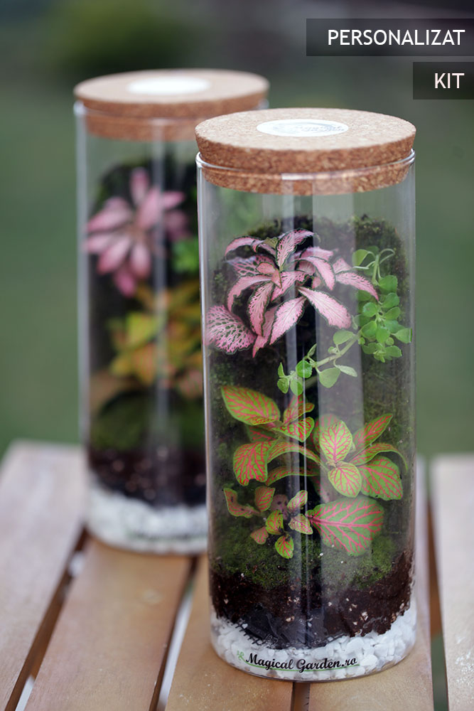 Terariu cascada KIT .1