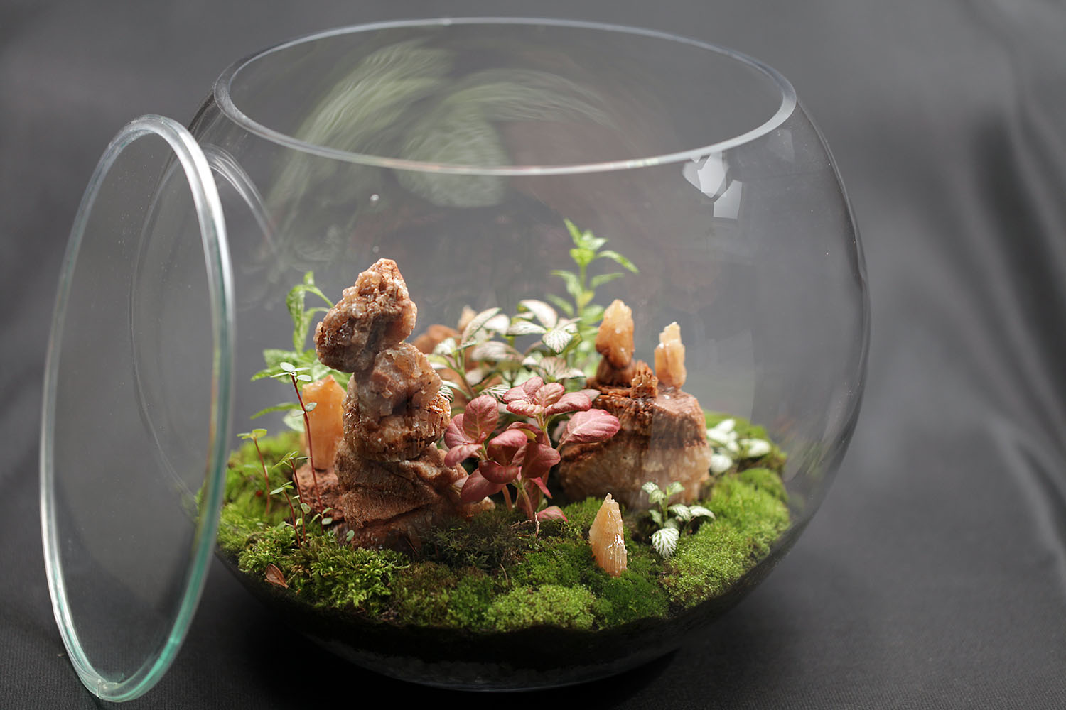 Terariu Premium "Munti de Cristal"