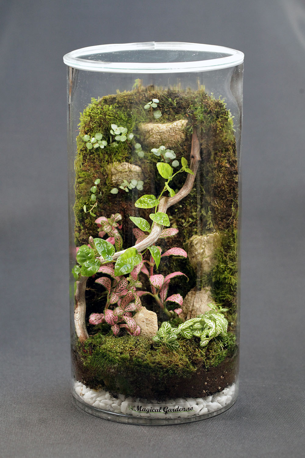 Terariu Premium "Cascada cu Stanci"