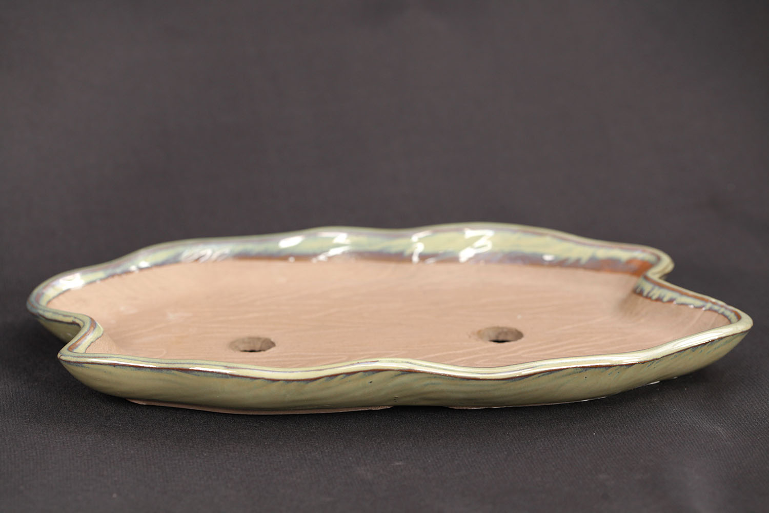 Vas Bonsai 28x17x3 cm
