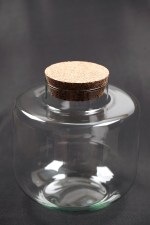 Borcan Butoias si Pluta .3