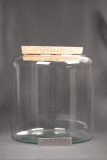 BOR00012_28