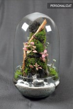 Terariu Hawaiian Vulcano Beach .12