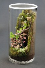 Terariu Premium "Cascada cu Stanci"