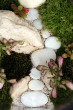 IMG_3855_sp