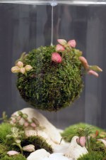 IMG_3872_sp